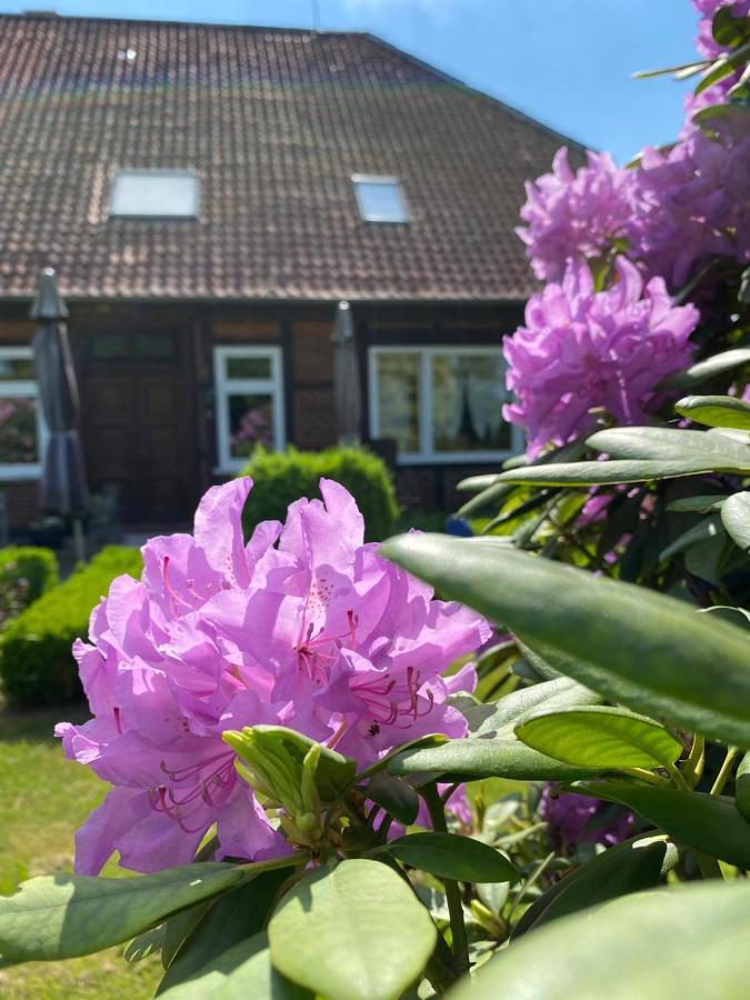 Ferienwohnung Hof Düshop Bad Fallingbostel Exterior foto